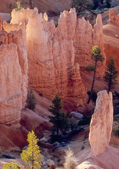 Bryce NP